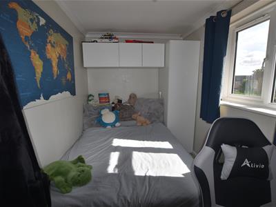 Picture 41